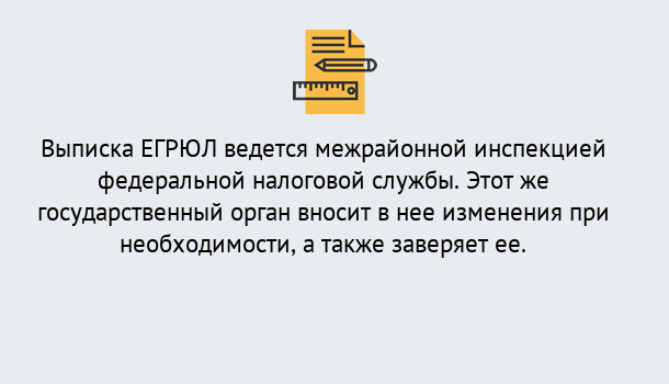 Почему нужно обратиться к нам? Сокол Выписка ЕГРЮЛ в Сокол ?