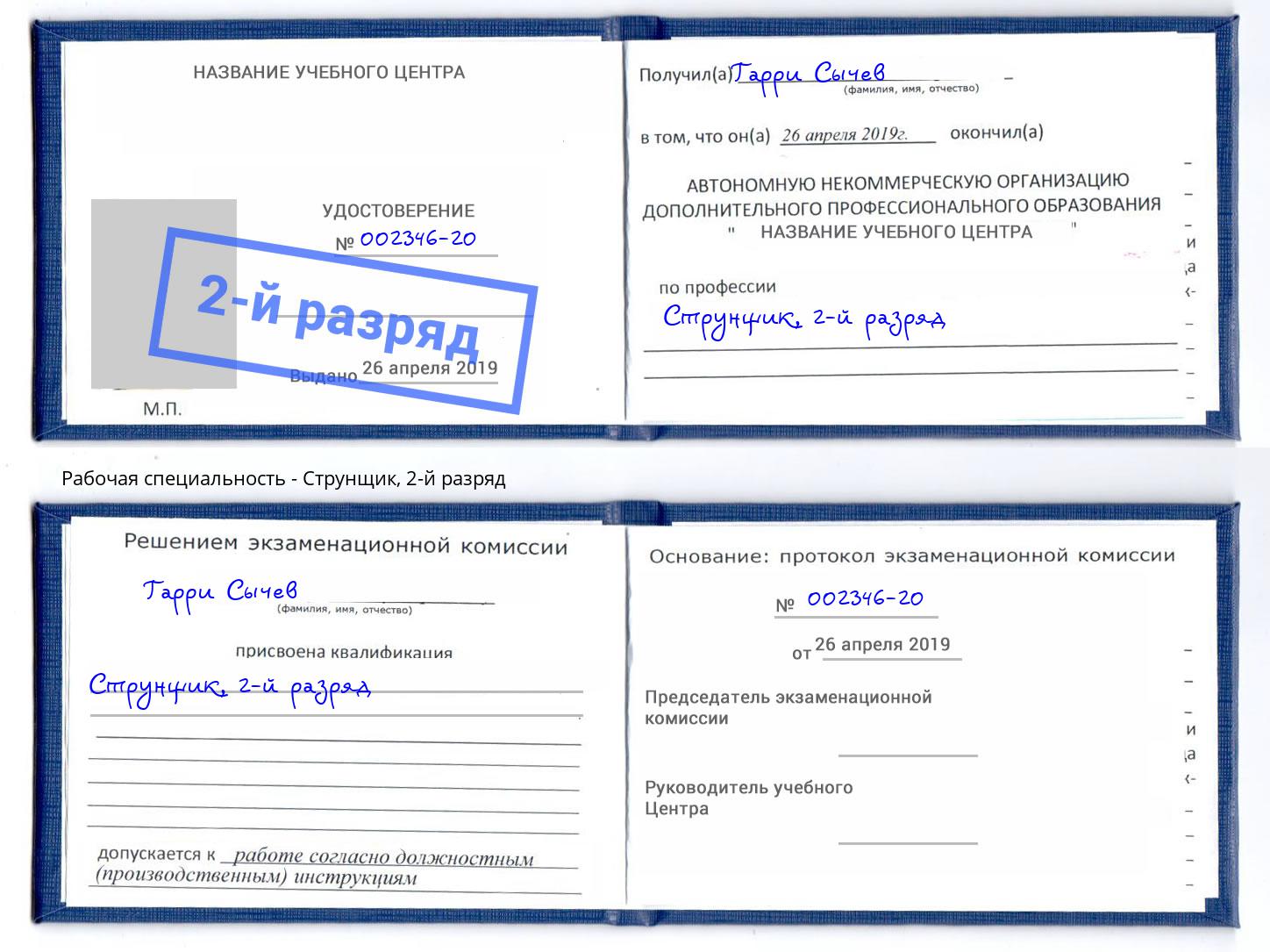 корочка 2-й разряд Струнщик Сокол
