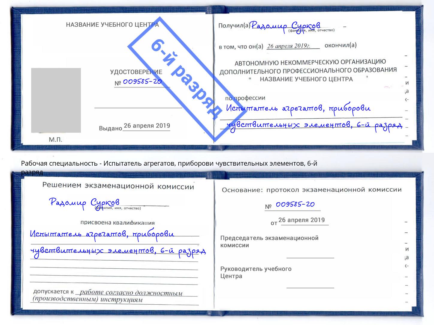 корочка 6-й разряд Испытатель агрегатов, приборови чувствительных элементов Сокол