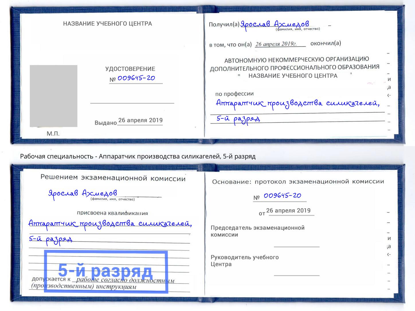 корочка 5-й разряд Аппаратчик производства силикагелей Сокол