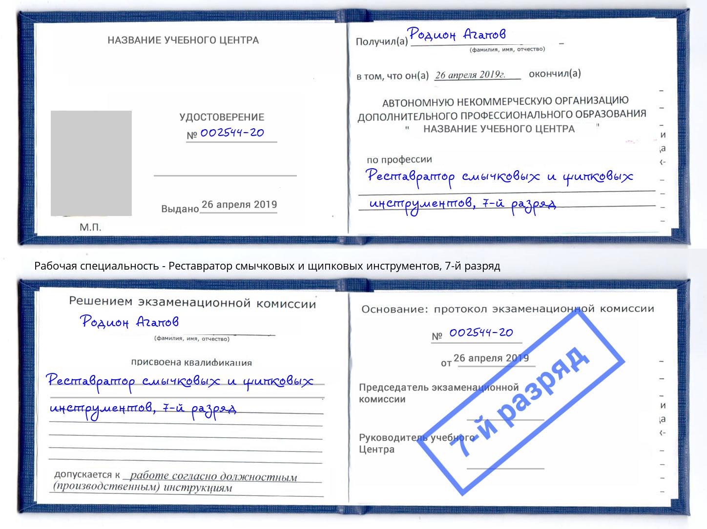 корочка 7-й разряд Реставратор смычковых и щипковых инструментов Сокол