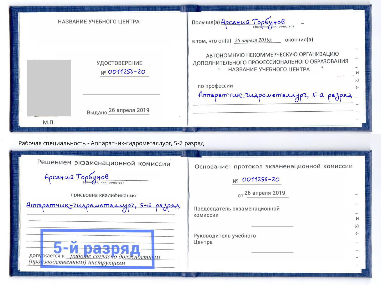 корочка 5-й разряд Аппаратчик-гидрометаллург Сокол