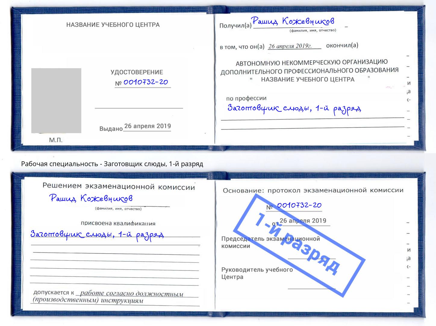 корочка 1-й разряд Заготовщик слюды Сокол