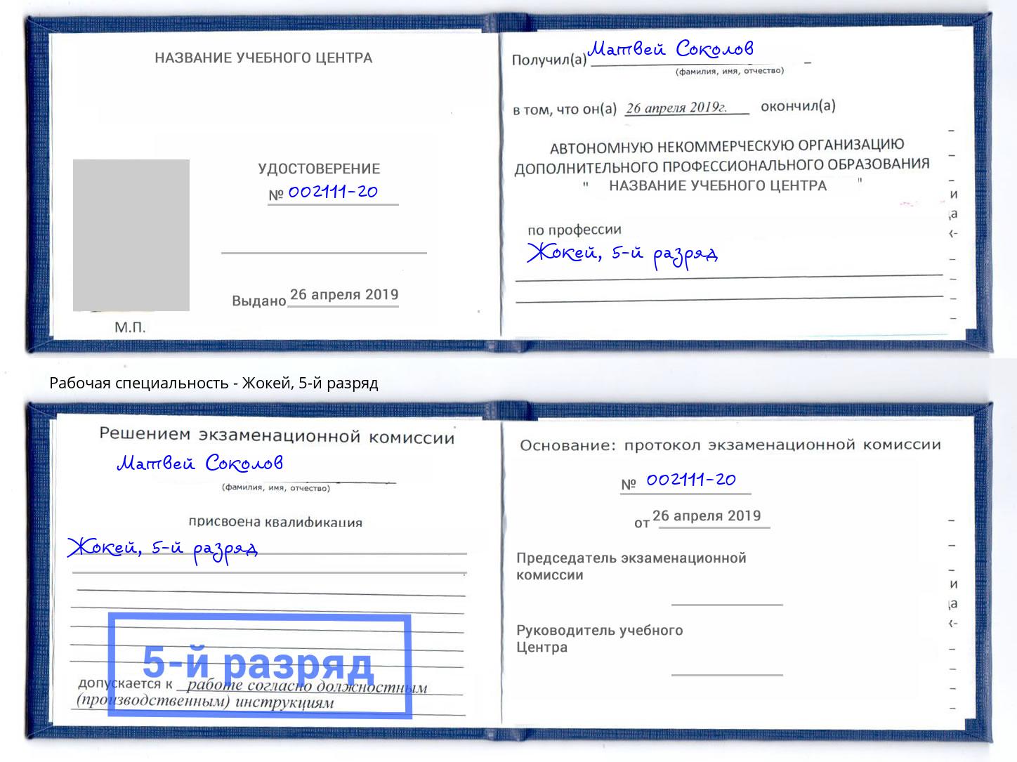 корочка 5-й разряд Жокей Сокол