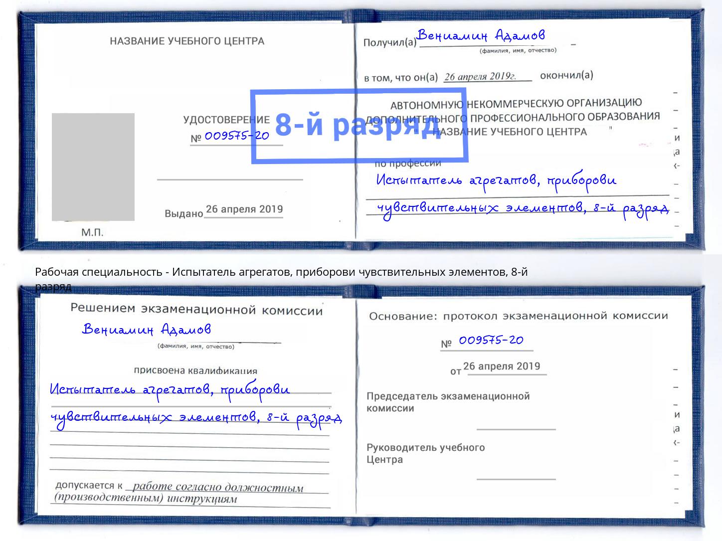 корочка 8-й разряд Испытатель агрегатов, приборови чувствительных элементов Сокол